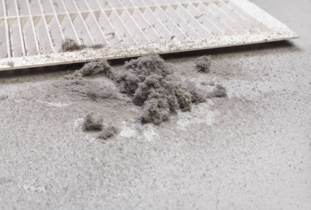 Best Ventilation Cleaning Services  in Clayton, MO