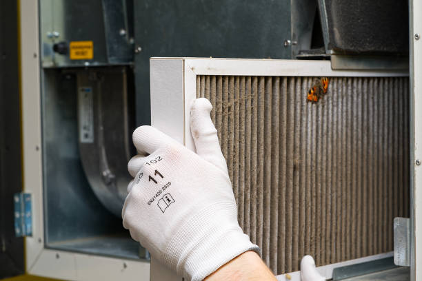 Best Affordable Duct Cleaning Services  in Clayton, MO