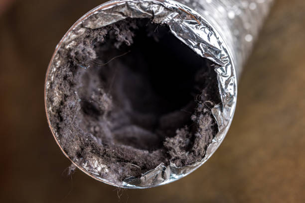 Best Affordable Duct Cleaning Services  in Clayton, MO