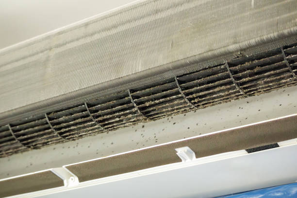 Best Dryer Vent Cleaning Services  in Clayton, MO