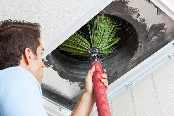 Best Affordable HVAC Duct Cleaning  in Clayton, MO